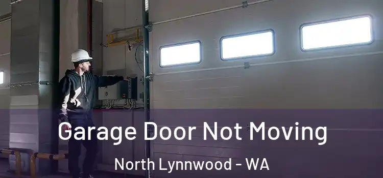  Garage Door Not Moving North Lynnwood - WA